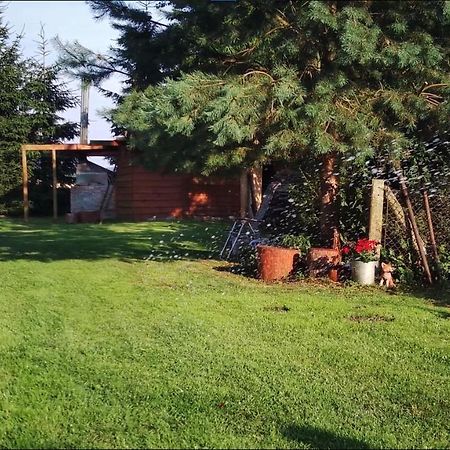 Agroturystyka U Rolnika - Apartament Nowakowo Esterno foto